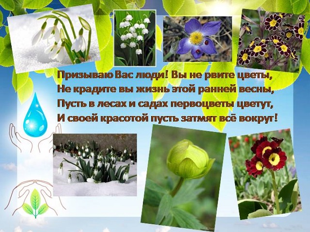 IMG 20191198 2