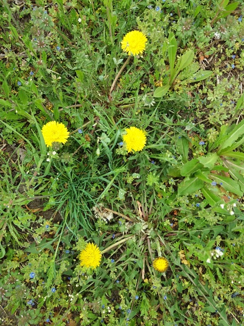 IMG 20190418 WA0047