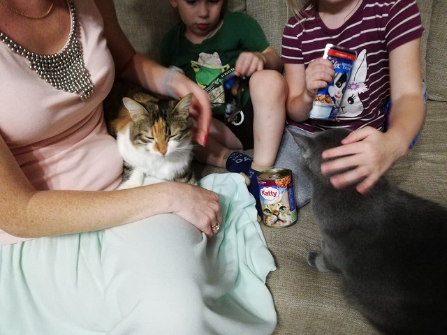 IMG 20190808 WA0006