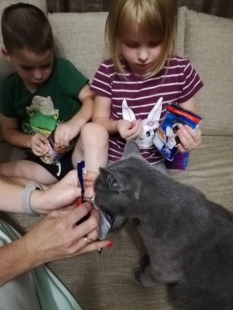IMG 20190808 WA0007