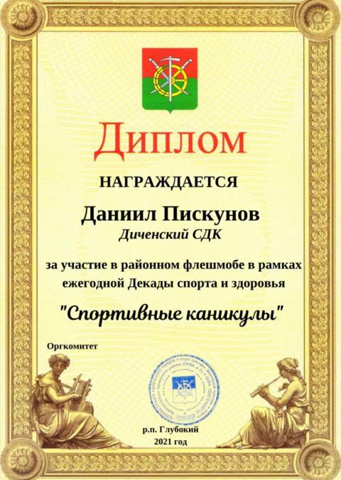diplom20210129 3