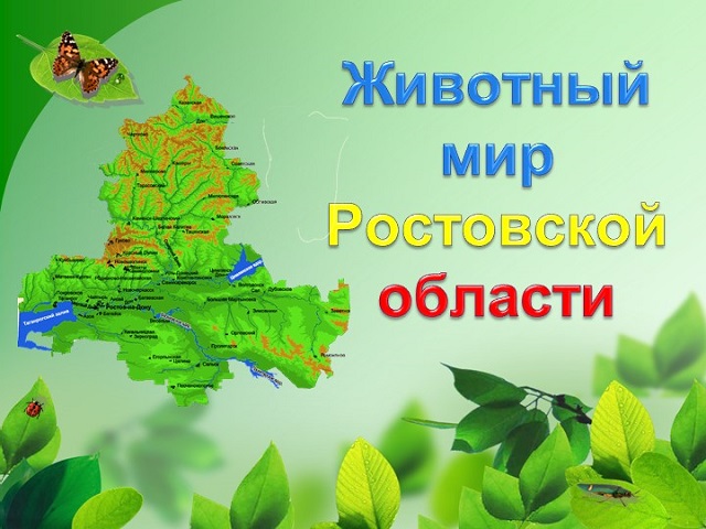 vikto20220504 2