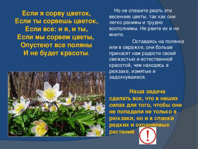 foto 28 03 2019 14 35 1
